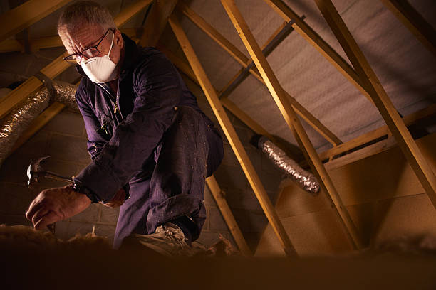 Best Affordable Insulation Services  in Staunton, IL